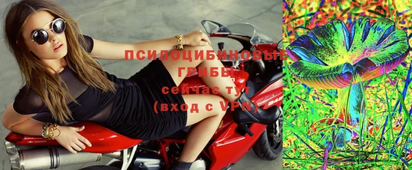 сатива Наволоки