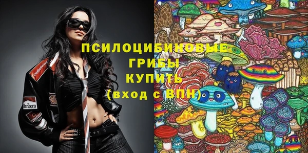 сатива Наволоки