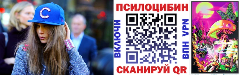где можно купить   Ялуторовск  Галлюциногенные грибы мухоморы 