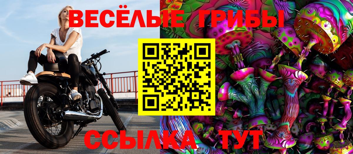 Ялуторовск  Псилоцибиновые грибы Psilocybe  Вход с VPN 