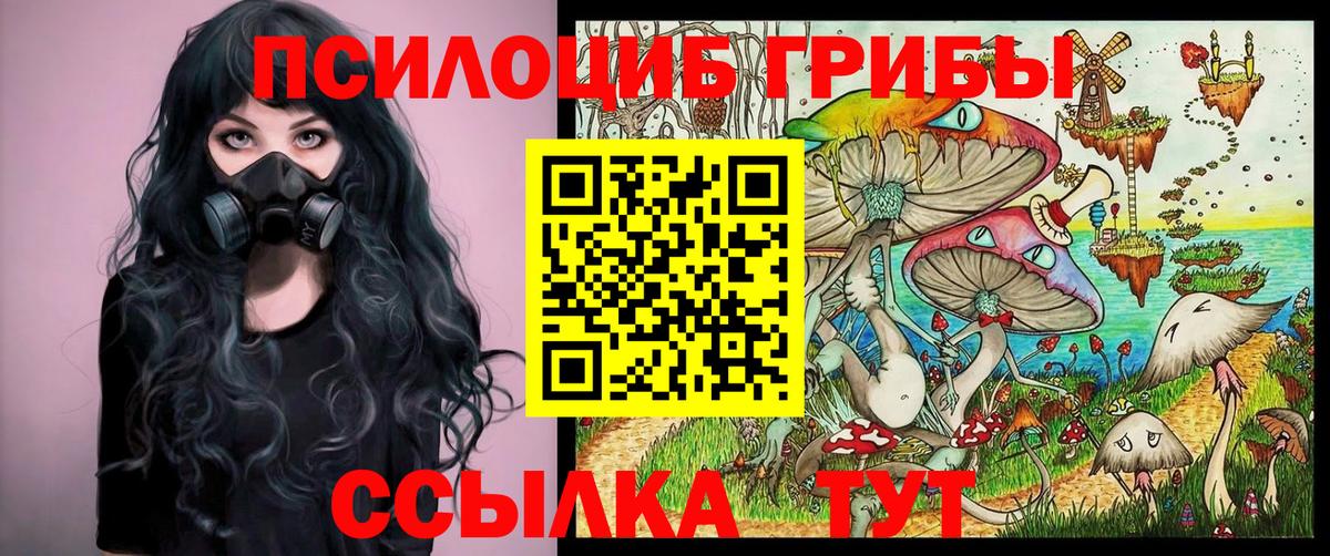 Псилоцибиновые грибы мицелий Ялуторовск
